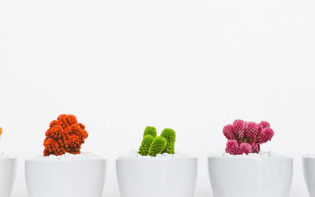 Hoe belangrijk is het om reactiemogelijkheden op je blog te hebben?